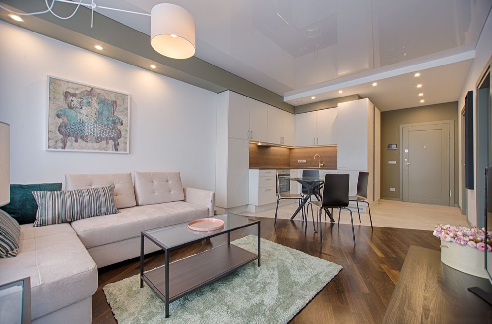 Modern condo interior
